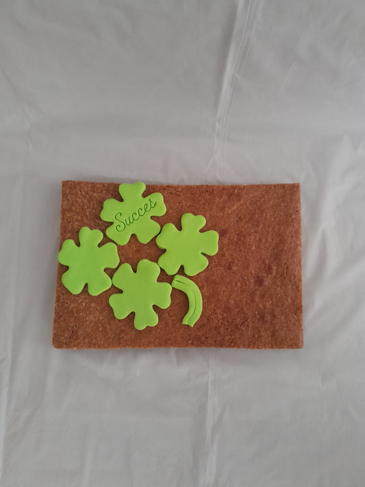 Brownie Succes